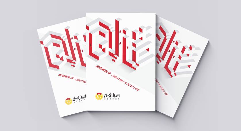 利辛县宣传册设计：以精准触达，奏响城市发展的时代旋律